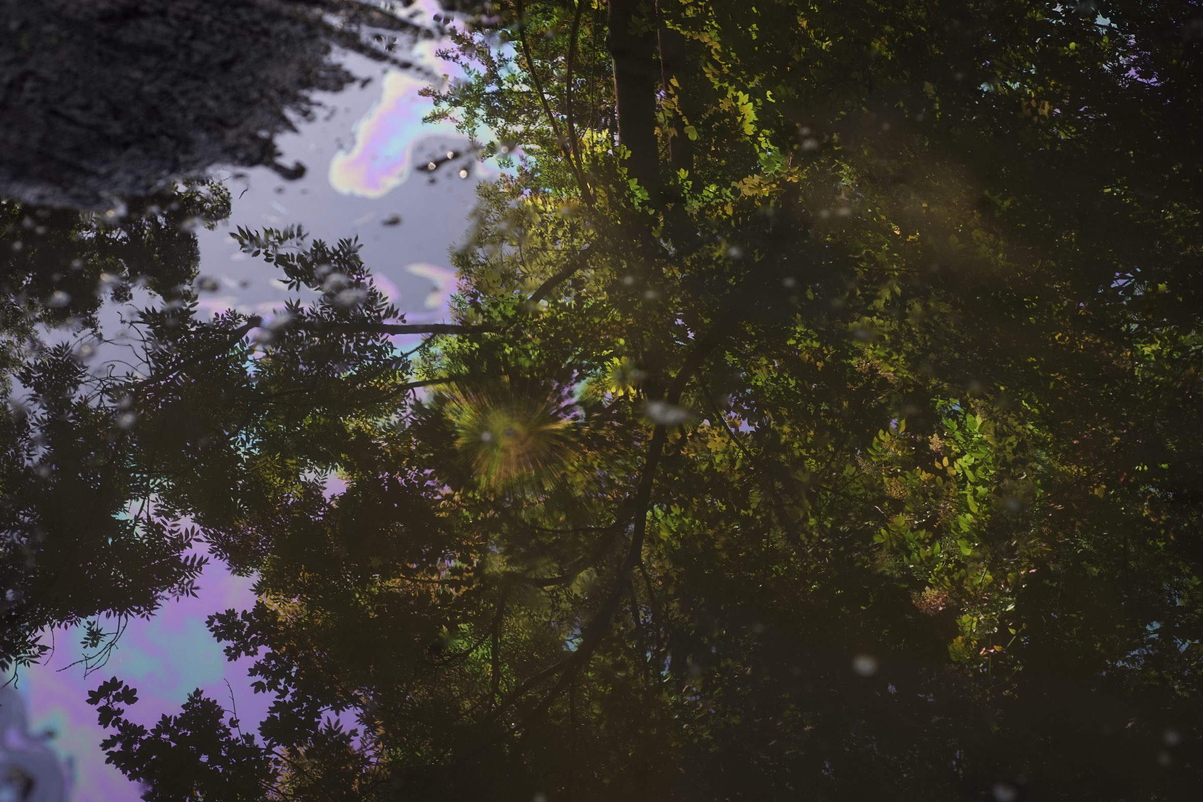 Reflecting Oil, Beauty #001