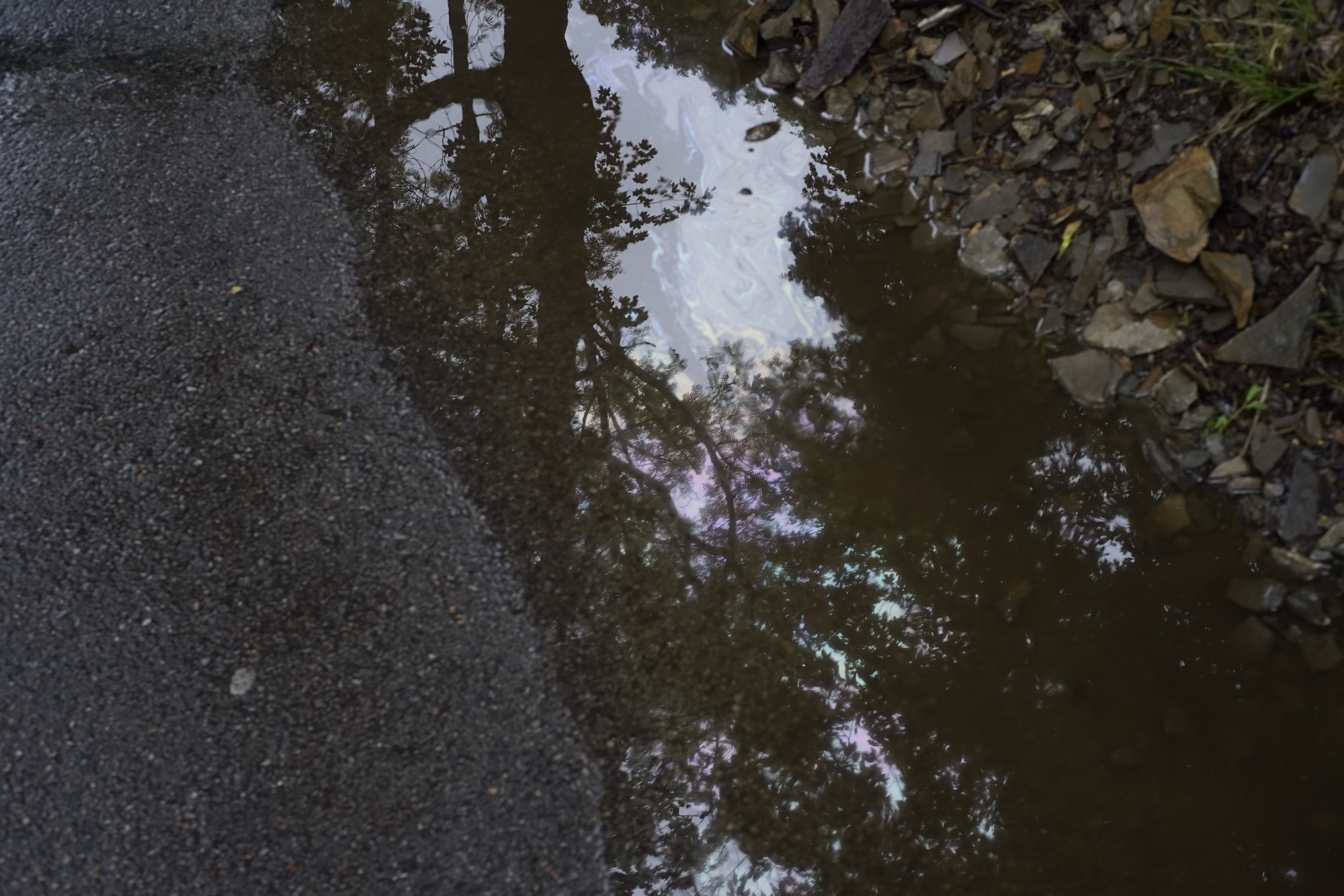 Projekt: Reflecting Oil: Arts-Based Research on Oil Transitionings – Pressetext