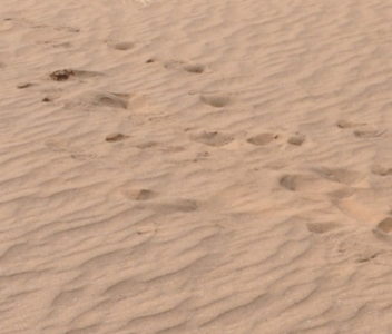 Datenschutzerklärung